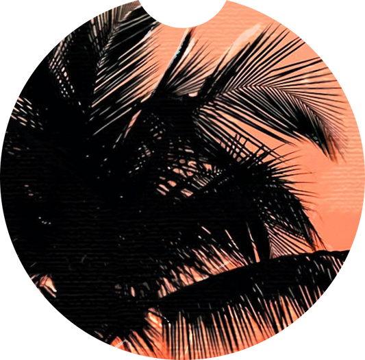 Sous-Verre de Voiture en Néoprène – Modèle "Sunset Palms"