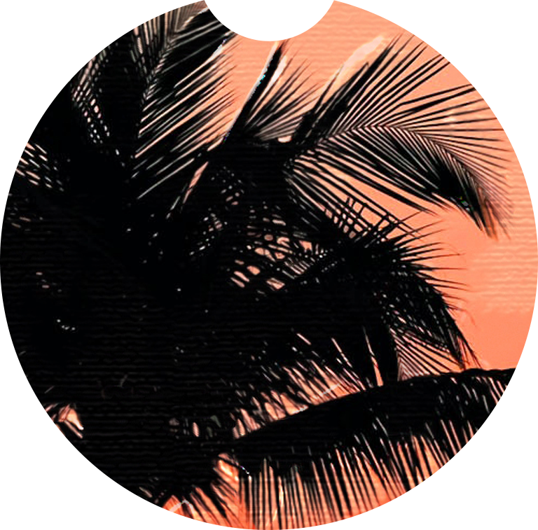 Sous-Verre de Voiture en Néoprène – Modèle "Sunset Palms"