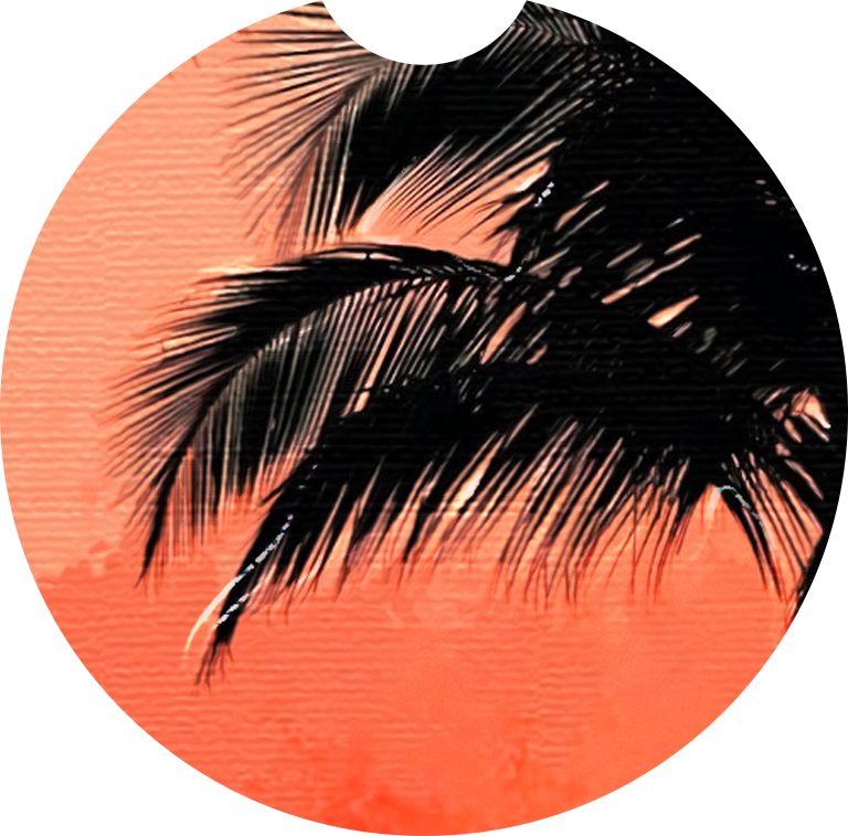 Sous-Verre de Voiture en Néoprène – Modèle "Sunset Palms"